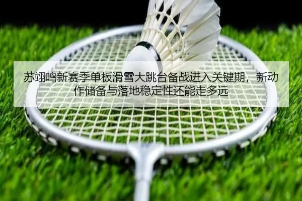 苏翊鸣新赛季单板滑雪大跳台备战进入关键期，新动作储备与落地稳定性还能走多远